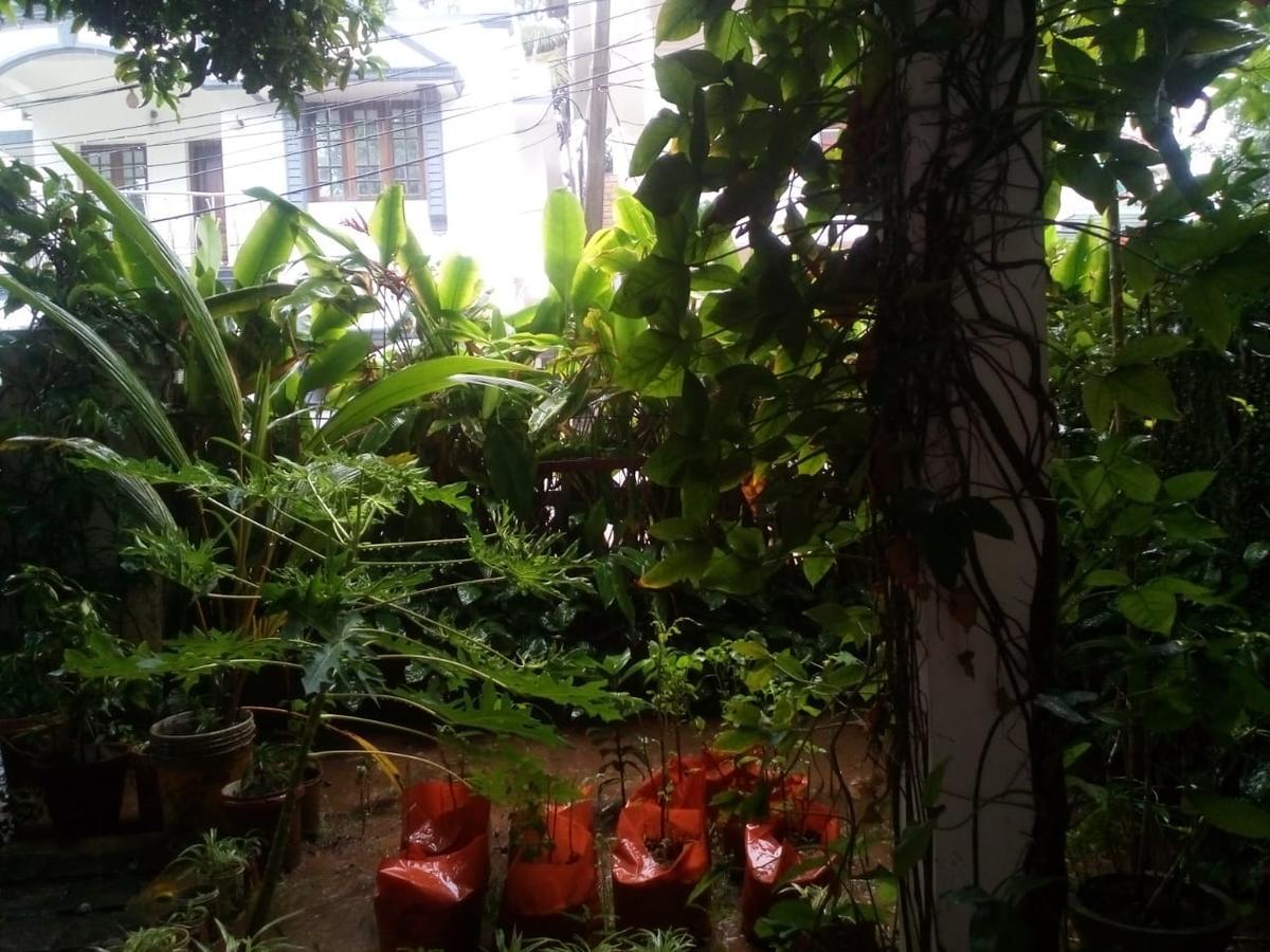 Nathans Holiday Home Kochi Luaran gambar